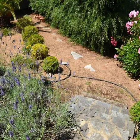 Beautiful Villa In Albitreccia Near Agosta Beach *
